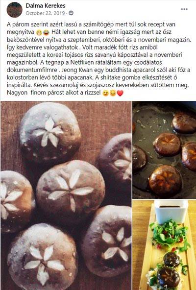 magazin_velemeny_dalma_kerekes