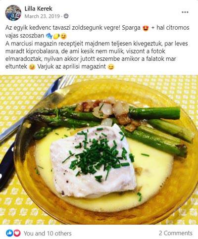magazin_velemeny_kerek_lilla2