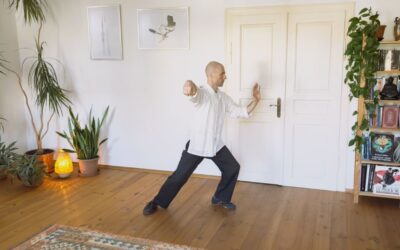 A Taijiquan (tájcsi) fejlődési útjai