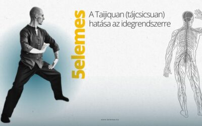 A Taijiquan (tájcsicsuan) hatása az idegrendszerre